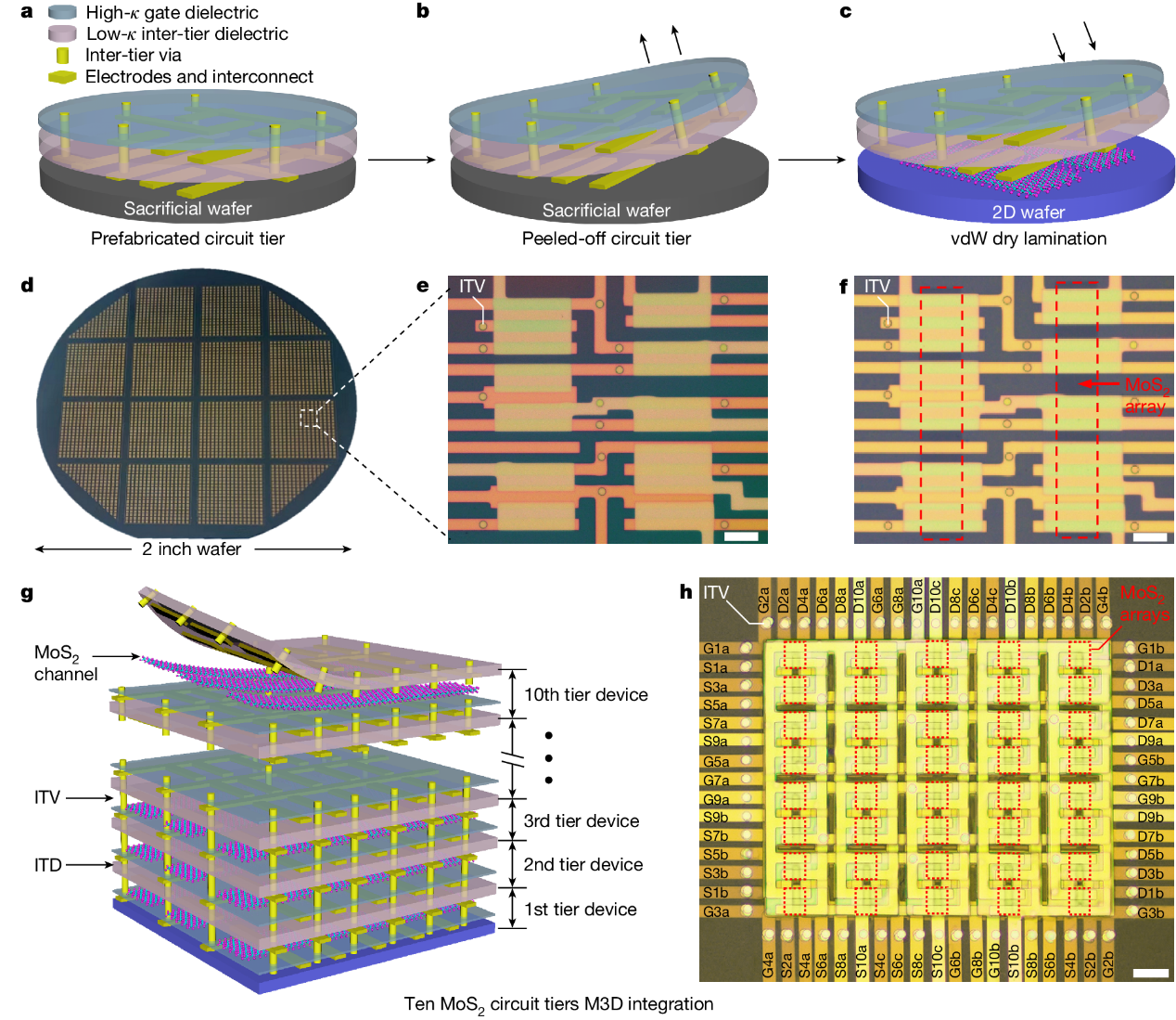 三维单片monolithic three-dimensional,M3D逐层集成工艺